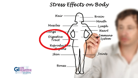 Stress and Your Gut: Why it Matters in Digestive Conditions